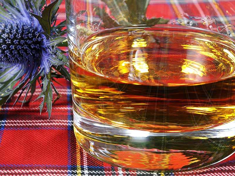 Burns Night
